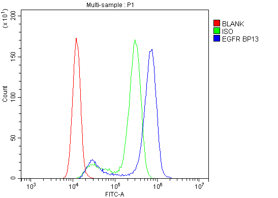 Flow Cytometry analysis of A431 cells using anti-EGFR antibody (A00023). Overlay histogram showing A431 cells stained with A00023 (Blue line).The cells were blocked with 10% normal goat serum. And then incubated with rabbit anti-EGFR Antibody (A00023,1μg/1x106 cells) for 30 min at 20°C. DyLight488 conjugated goat anti-rabbit IgG (BA1127, 5-10μg/1x106 cells) was used as secondary antibody for 30 minutes at 20°C. Isotype control antibody (Green line) was rabbit IgG (1μg/1x106) used under the same conditions. Unlabelled sample (Red line) was also used as a control.