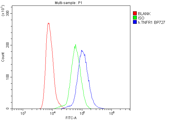 Flow Cytometry analysis of U937 cells using anti-TNF Receptor I antibody (A00294-3). Overlay histogram showing U937 cells stained with A00294-3 (Blue line).The cells were blocked with 10% normal goat serum. And then incubated with rabbit anti-TNF Receptor I Antibody (A00294-3,1μg/1x106 cells) for 30 min at 20°C. DyLight®488 conjugated goat anti-rabbit IgG (BA1127, 5-10μg/1x106 cells) was used as secondary antibody for 30 minutes at 20°C. Isotype control antibody (Green line) was rabbit IgG (1μg/1x106) used under the same conditions. Unlabelled sample (Red line) was also used as a control.