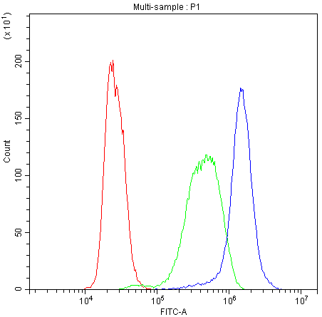 Flow Cytometry analysis of K562 cells using anti-Human CYP1A1 antibody (A00471-Dyl488).