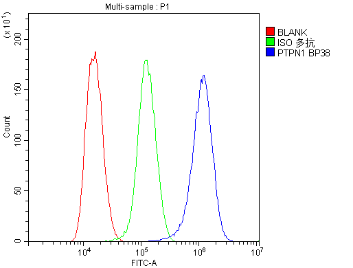 Flow Cytometry analysis of U20S cells using anti-PTP1B antibody (A00613-1). Overlay histogram showing U20S cells stained with A00613-1 (Blue line).The cells were blocked with 10% normal goat serum. And then incubated with rabbit anti-PTP1B Antibody (A00613-1,1μg/1x106 cells) for 30 min at 20°C. DyLight488 conjugated goat anti-rabbit IgG (BA1127, 5-10μg/1x106 cells) was used as secondary antibody for 30 minutes at 20°C. Isotype control antibody (Green line) was rabbit IgG (1μg/1x106) used under the same conditions. Unlabelled sample (Red line) was also used as a control.