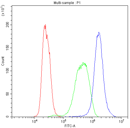 Flow Cytometry analysis of K562 cells using anti-Human Bid antibody (A00730-Dyl488).