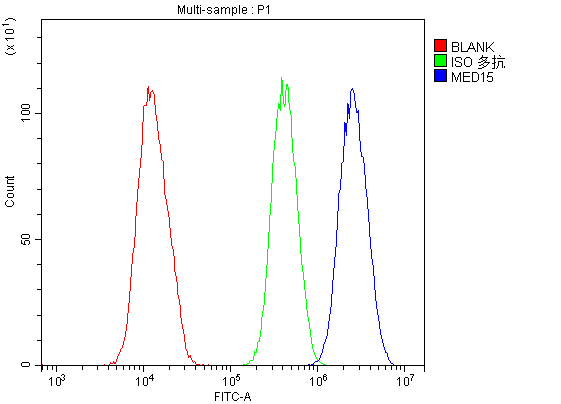 Flow Cytometry analysis of U20S cells using anti-MED15 antibody (A03568-1).