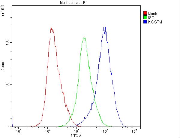 Flow Cytometry analysis of HELA cells using anti-GSTM1 antibody (M00569). Overlay histogram showing HELA cells stained with M00569 (Blue line).The cells were blocked with 10% normal goat serum. And then incubated with mouse anti-GSTM1 Antibody (M00569,1μg/1x106 cells) for 30 min at 20°C. DyLight®488 conjugated goat anti-mouse IgG (BA1126, 5-10μg/1x106 cells) was used as secondary antibody for 30 minutes at 20°C. Isotype control antibody (Green line) was mouse IgG (1μg/1x106) used under the same conditions. Unlabelled sample (Red line) was also used as a control.