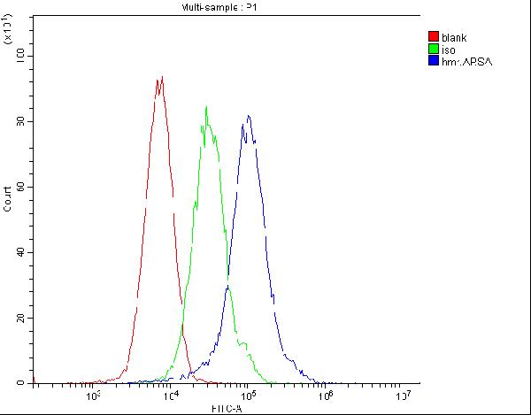 Flow Cytometry analysis of ANA-1 cells using anti-ARSA antibody (M02583). Overlay histogram showing ANA-1 cells stained with M02583 (Blue line).The cells were blocked with 10% normal goat serum. And then incubated with mouse anti-ARSA Antibody (M02583,1μg/1x106 cells) for 30 min at 20°C. DyLight®488 conjugated goat anti-mouse IgG (BA1126, 5-10μg/1x106 cells) was used as secondary antibody for 30 minutes at 20°C. Isotype control antibody (Green line) was mouse IgG (1μg/1x106) used under the same conditions. Unlabelled sample (Red line) was also used as a control.
