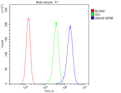 Flow Cytometry analysis of PC-3 cells using anti-Annexin V antibody (PB9044). Overlay histogram showing PC-3 cells stained with PB9044 (Blue line).The cells were blocked with 10% normal goat serum. And then incubated with rabbit anti-Annexin V Antibody (PB9044,1μg/1x106 cells) for 30 min at 20°C. DyLight488 conjugated goat anti-rabbit IgG (BA1127, 5-10μg/1x106 cells) was used as secondary antibody for 30 minutes at 20°C. Isotype control antibody (Green line) was rabbit IgG (1μg/1x106) used under the same conditions. Unlabelled sample (Red line) was also used as a control.