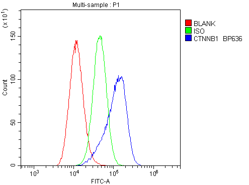 Flow Cytometry analysis of A549 cells using anti-CTNNB1 antibody (A00004). Overlay histogram showing A549 cells stained with A00004 (Blue line).The cells were blocked with 10% normal goat serum. And then incubated with rabbit anti-CTNNB1 Antibody (A00004,1μg/1x106 cells) for 30 min at 20°C. DyLight®488 conjugated goat anti-rabbit IgG (BA1127, 5-10μg/1x106 cells) was used as secondary antibody for 30 minutes at 20°C. Isotype control antibody (Green line) was rabbit IgG (1μg/1x106) used under the same conditions. Unlabelled sample (Red line) was also used as a control.