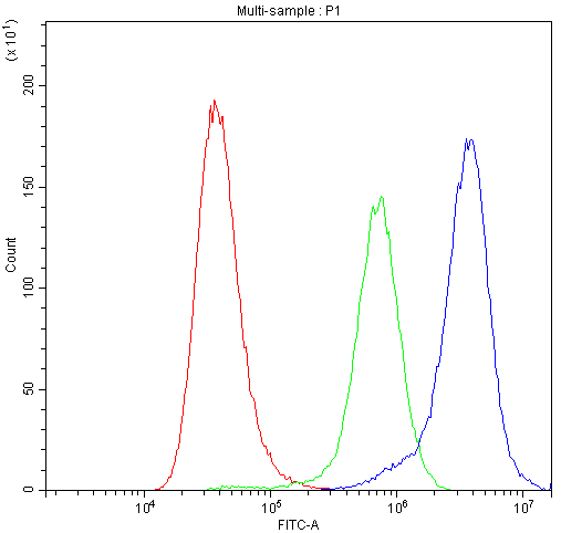 Flow Cytometry analysis of A549 cells using anti-Bax antibody (A00183). Overlay histogram showing A549 cells stained with A00183 (Blue line).The cells were blocked with 10% normal goat serum. And then incubated with rabbit anti-Bax Antibody (A00183,1μg/1x106 cells) for 30 min at 20°C. DyLight®488 conjugated goat anti-rabbit IgG (BA1127, 5-10μg/1x106 cells) was used as secondary antibody for 30 minutes at 20°C. Isotype control antibody (Green line) was rabbit IgG (1μg/1x106) used under the same conditions. Unlabelled sample (Red line) was also used as a control.