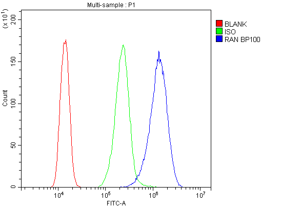 Flow Cytometry analysis of A431 cells using anti-Ran antibody (A00204-1). Overlay histogram showing A431 cells stained with A00204-1 (Blue line).The cells were blocked with 10% normal goat serum. And then incubated with rabbit anti-Ran Antibody (A00204-1,1μg/1x106 cells) for 30 min at 20°C. DyLight®488 conjugated goat anti-rabbit IgG (BA1127, 5-10μg/1x106 cells) was used as secondary antibody for 30 minutes at 20°C. Isotype control antibody (Green line) was rabbit IgG (1μg/1x106) used under the same conditions. Unlabelled sample (Red line) was also used as a control.