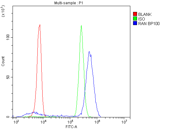 Flow Cytometry analysis of U937 cells using anti-Ran antibody (A00204-1). Overlay histogram showing U937 cells stained with A00204-1 (Blue line).The cells were blocked with 10% normal goat serum. And then incubated with rabbit anti-Ran Antibody (A00204-1,1μg/1x106 cells) for 30 min at 20°C. DyLight®488 conjugated goat anti-rabbit IgG (BA1127, 5-10μg/1x106 cells) was used as secondary antibody for 30 minutes at 20°C. Isotype control antibody (Green line) was rabbit IgG (1μg/1x106) used under the same conditions. Unlabelled sample (Red line) was also used as a control.