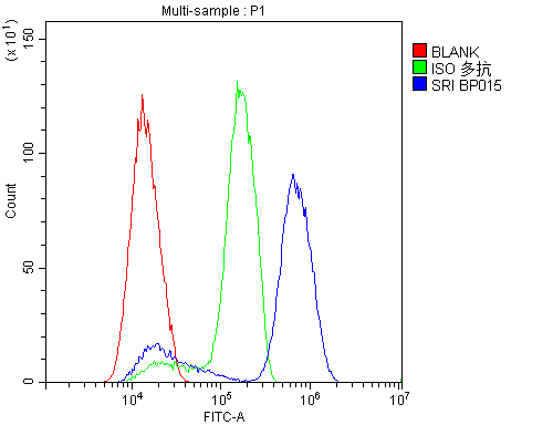 Flow Cytometry analysis of SiHa cells using anti-SRI antibody (A00222). Overlay histogram showing SiHa cells stained with A00222 (Blue line).The cells were blocked with 10% normal goat serum. And then incubated with rabbit anti-SRI Antibody (A00222,1μg/1x106 cells) for 30 min at 20°C. DyLight®488 conjugated goat anti-rabbit IgG (BA1127, 5-10μg/1x106 cells) was used as secondary antibody for 30 minutes at 20°C. Isotype control antibody (Green line) was rabbit IgG (1μg/1x106) used under the same conditions. Unlabelled sample (Red line) was also used as a control.