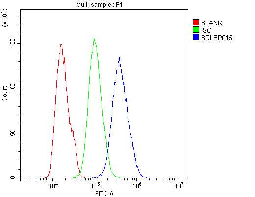 Flow Cytometry analysis of U20S cells using anti-SRI antibody (A00222). Overlay histogram showing U20S cells stained with A00222 (Blue line).The cells were blocked with 10% normal goat serum. And then incubated with rabbit anti-SRI Antibody (A00222,1μg/1x106 cells) for 30 min at 20°C. DyLight®488 conjugated goat anti-rabbit IgG (BA1127, 5-10μg/1x106 cells) was used as secondary antibody for 30 minutes at 20°C. Isotype control antibody (Green line) was rabbit IgG (1μg/1x106) used under the same conditions. Unlabelled sample (Red line) was also used as a control.