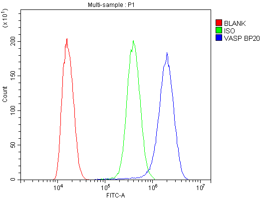 Flow Cytometry analysis of SiHa cells using anti-VASP antibody (A00303-1). Overlay histogram showing SiHa cells stained with A00303-1 (Blue line).The cells were blocked with 10% normal goat serum. And then incubated with rabbit anti-VASP Antibody (A00303-1,1μg/1x106 cells) for 30 min at 20°C. DyLight®488 conjugated goat anti-rabbit IgG (BA1127, 5-10μg/1x106 cells) was used as secondary antibody for 30 minutes at 20°C. Isotype control antibody (Green line) was rabbit IgG (1μg/1x106) used under the same conditions. Unlabelled sample (Red line) was also used as a control.