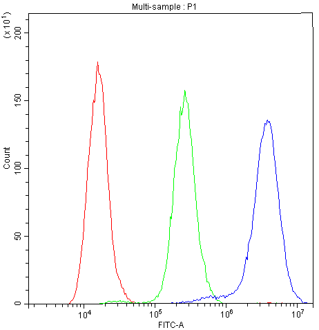 Flow Cytometry analysis of THP-1 cells using anti-NFATC1 antibody (A00340-1).