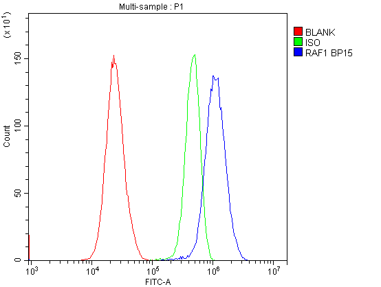 Flow Cytometry analysis of HeLa cells using anti-Raf1 antibody (A00446-1). Overlay histogram showing HeLa cells stained with PB10089 (Blue line).The cells were blocked with 10% normal goat serum. And then incubated with rabbit anti-Raf1 Antibody (A00446-1,1μg/1x106 cells) for 30 min at 20°C. DyLight®488 conjugated goat anti-rabbit IgG (BA1127, 5-10μg/1x106 cells) was used as secondary antibody for 30 minutes at 20°C. Isotype control antibody (Green line) was rabbit IgG (1μg/1x106) used under the same conditions. Unlabelled sample (Red line) was also used as a control.