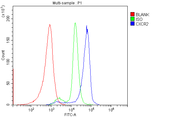 Anti-CXCR2 Antibody Picoband™