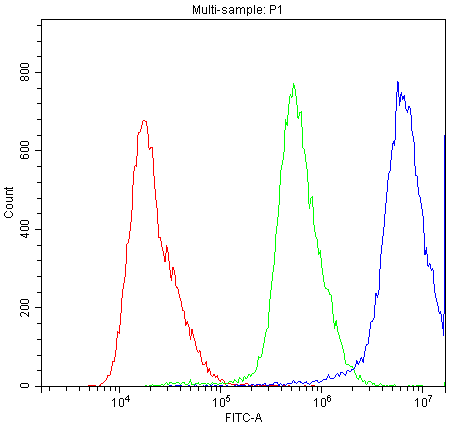 Flow Cytometry analysis of A431 cells using anti-ABCC8 antibody (A00895-1).