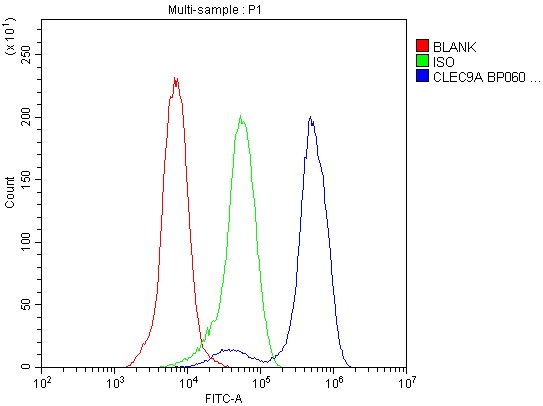 Flow Cytometry analysis of Jurkat cells using anti-CLEC9A antibody (A04577). Overlay histogram showing Jurkat cells stained with A04577 (Blue line).The cells were blocked with 10% normal goat serum. And then incubated with rabbit anti-CLEC9A Antibody (A04577, 1μg/1x106 cells) for 30 min at 20°C. DyLight®488 conjugated goat anti-rabbit IgG (BA1127, 5-10μg/1x106 cells) was used as secondary antibody for 30 minutes at 20°C. Isotype control antibody (Green line) was rabbit IgG (1μg/1x106) used under the same conditions. Unlabelled sample (Red line) was also used as a control.