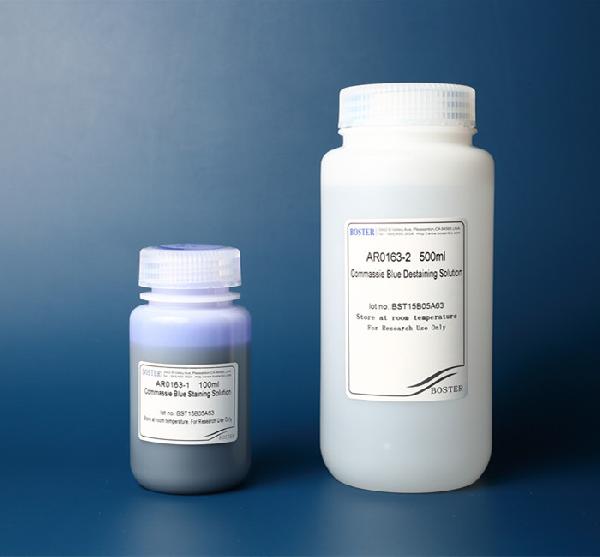 Commassie Blue Staining And Destaining Solution