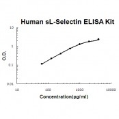 Human L-selectin EZ-Set ELISA Kit standard curve