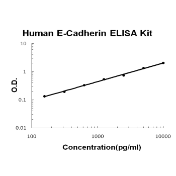 Human E-Cadherin PicoKine ELISA Kit standard curve