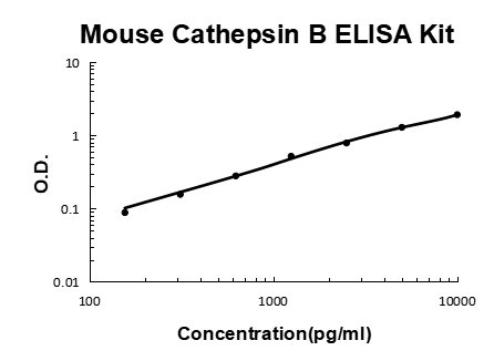 Mouse Cathepsin B PicoKine ELISA Kit standard curve