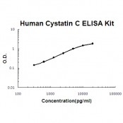 Human Cystatin C EZ-Set ELISA Kit standard curve