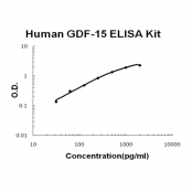 Human GDF-15 EZ-Set ELISA Kit standard curve