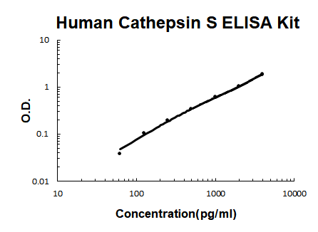 Human Cathepsin S PicoKine ELISA Kit standard curve