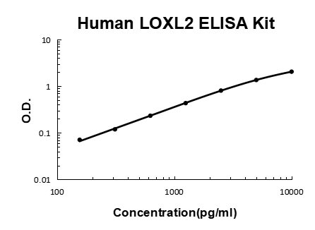 Human LOXL2 PicoKine ELISA Kit standard curve