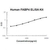 Human FABP4 EZ-Set ELISA Kit standard curve