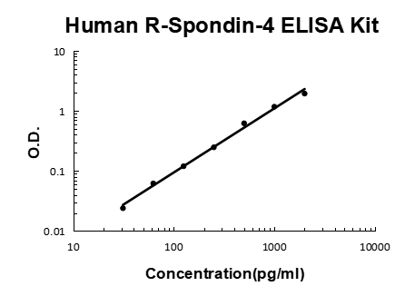 Human R-Spondin-4 PicoKine ELISA Kit standard curve