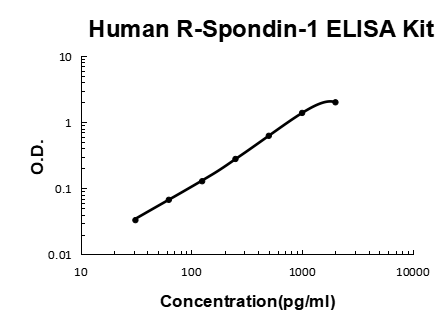 Human R-Spondin-1 PicoKine ELISA Kit standard curve