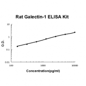 Rat Galectin-1 EZ-Set ELISA Kit standard curve