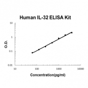 Human IL-32 EZ-Set ELISA Kit standard curve
