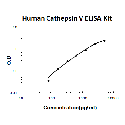 Human Cathepsin V PicoKine ELISA Kitstandard curve