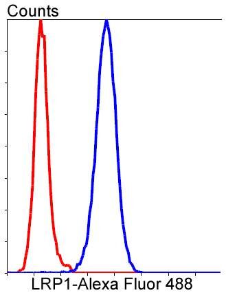 Flow cytometric analysis of LRP1 was done on HeLa cells. The cells were fixed, permeabilized and stained with the primary antibody (1/50) (blue). After incubation of the primary antibody at room temperature for an hour, the cells were stained with a Alexa Fluor 488-conjugated Goat anti-Rabbit IgG Secondary antibody at 1/1000 dilution for 30 minutes.Unlabelled sample was used as a control (cells without incubation with primary antibody; red).