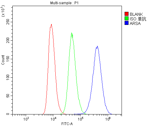 Flow Cytometry analysis of Raji cells using anti-ARSA antibody (M02583). Overlay histogram showing Raji cells stained with M02583 (Blue line).The cells were blocked with 10% normal goat serum. And then incubated with rabbit anti-ARSA Antibody (M02583, 1μg/1x106 cells) for 30 min at 20°C. DyLight®488 conjugated goat anti-rabbit IgG (BA1127, 5-10μg/1x106 cells) was used as secondary antibody for 30 minutes at 20°C. Isotype control antibody (Green line) was rabbit IgG (1μg/1x106) used under the same conditions. Unlabelled sample (Red line) was also used as a control.