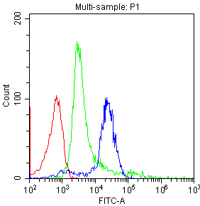 Flow Cytometry analysis of human PBMC cells using anti-CD8 antibody (MA1017). Overlay histogram showing human PBMC cells stained with MA1017 (Blue line).The cells were blocked with 10% normal goat serum. And then incubated with mouse anti-CD8 Antibody (MA1017,1μg/1x106 cells) for 30 min at 20°C. DyLight®488 conjugated goat anti-mouse IgG (BA1126, 5-10μg/1x106 cells) was used as secondary antibody for 30 minutes at 20°C. Isotype control antibody (Green line) was mouse IgG (1μg/1x106) used under the same conditions. Unlabelled sample (Red line) was also used as a control.