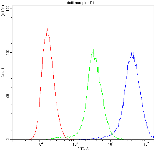 Flow Cytometry analysis of HeLa cells using anti-NME1 antibody (PA1829). Overlay histogram showing HeLa cells stained with PA1829 (Blue line).The cells were blocked with 10% normal goat serum. And then incubated with rabbit anti-NME1 Antibody (PA1829,1μg/1x106 cells) for 30 min at 20°C. DyLight®488 conjugated goat anti-rabbit IgG (BA1127, 5-10μg/1x106 cells) was used as secondary antibody for 30 minutes at 20°C. Isotype control antibody (Green line) was rabbit IgG (1μg/1x106) used under the same conditions. Unlabelled sample (Red line) was also used as a control.