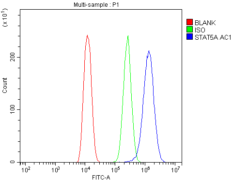 Flow Cytometry analysis of U20S cells using anti-STAT5A antibody (PA1840). Overlay histogram showing U20S cells stained with PA1840 (Blue line).The cells were blocked with 10% normal goat serum. And then incubated with rabbit anti-STAT5A Antibody (PA1840,1μg/1x106 cells) for 30 min at 20°C. DyLight®488 conjugated goat anti-rabbit IgG (BA1127, 5-10μg/1x106 cells) was used as secondary antibody for 30 minutes at 20°C. Isotype control antibody (Green line) was rabbit IgG (1μg/1x106) used under the same conditions. Unlabelled sample (Red line) was also used as a control.