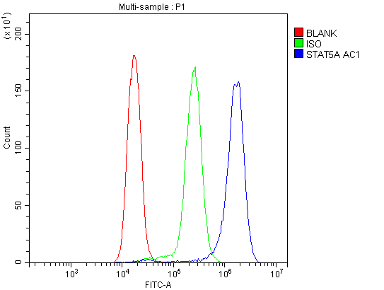 Flow Cytometry analysis of Jurkat cells using anti-STAT5A antibody (PA1840). Overlay histogram showing Jurkat cells stained with PA1840 (Blue line).The cells were blocked with 10% normal goat serum. And then incubated with rabbit anti-STAT5A Antibody (PA1840,1μg/1x106 cells) for 30 min at 20°C. DyLight488 conjugated goat anti-rabbit IgG (BA1127, 5-10μg/1x106 cells) was used as secondary antibody for 30 minutes at 20°C. Isotype control antibody (Green line) was rabbit IgG (1μg/1x106) used under the same conditions. Unlabelled sample (Red line) was also used as a control.