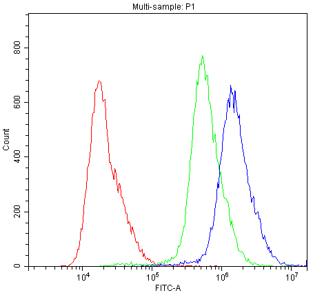 Flow Cytometry analysis of A431 cells using anti-ABCG5 antibody (PA1871). Overlay histogram showing A431 cells stained with PA1871 (Blue line).The cells were blocked with 10% normal goat serum. And then incubated with rabbit anti-ABCG5 Antibody (PA1871,1μg/1x106 cells) for 30 min at 20°C. DyLight®488 conjugated goat anti-rabbit IgG (BA1127, 5-10μg/1x106 cells) was used as secondary antibody for 30 minutes at 20°C. Isotype control antibody (Green line) was rabbit IgG (1μg/1x106) used under the same conditions. Unlabelled sample (Red line) was also used as a control.