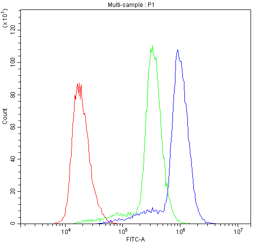 Flow Cytometry analysis of U937 cells using anti-ASIC3 antibody (PA1938). Overlay histogram showing U937 cells stained with PA1938 (Blue line).The cells were blocked with 10% normal goat serum. And then incubated with rabbit anti-ASIC3 Antibody (PA1938,1μg/1x106 cells) for 30 min at 20°C. DyLight®488 conjugated goat anti-rabbit IgG (BA1127, 5-10μg/1x106 cells) was used as secondary antibody for 30 minutes at 20°C. Isotype control antibody (Green line) was rabbit IgG (1μg/1x106) used under the same conditions. Unlabelled sample (Red line) was also used as a control.