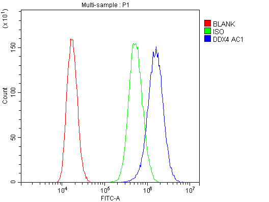 Flow Cytometry analysis of PC-3 cells using anti-DDX4/MVH antibody (PA1963). Overlay histogram showing PC-3 cells stained with PA1963 (Blue line).The cells were blocked with 10% normal goat serum. And then incubated with rabbit anti-DDX4/MVH Antibody (PA1963, 1μg/1x106 cells) for 30 min at 20°C. DyLight®488 conjugated goat anti-rabbit IgG (BA1127, 5-10μg/1x106 cells) was used as secondary antibody for 30 minutes at 20°C. Isotype control antibody (Green line) was rabbit IgG (1μg/1x106) used under the same conditions. Unlabelled sample (Red line) was also used as a control.