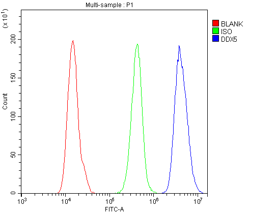 Flow Cytometry analysis of A431 cells using anti-DDX5 antibody (PA1964). Overlay histogram showing A431 cells stained with PA1964 (Blue line).The cells were blocked with 10% normal goat serum. And then incubated with rabbit anti-DDX5 Antibody (PA1964, 1μg/1x106 cells) for 30 min at 20°C. DyLight®488 conjugated goat anti-rabbit IgG (BA1127, 5-10μg/1x106 cells) was used as secondary antibody for 30 minutes at 20°C. Isotype control antibody (Green line) was rabbit IgG (1μg/1x106) used under the same conditions. Unlabelled sample (Red line) was also used as a control.