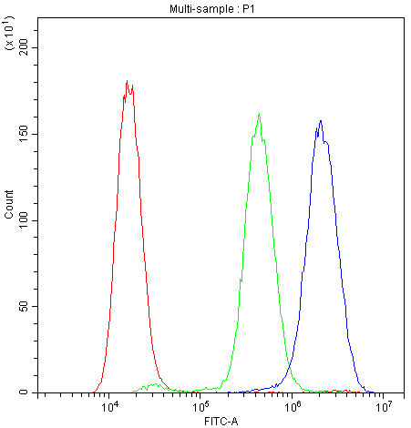 Flow Cytometry analysis of A549 cells using anti-PLK2 antibody (PA2131). Overlay histogram showing A549 cells stained with PA2131 (Blue line).The cells were blocked with 10% normal goat serum. And then incubated with rabbit anti-PLK2 Antibody (PA2131,1μg/1x106 cells) for 30 min at 20°C. DyLight®488 conjugated goat anti-rabbit IgG (BA1127, 5-10μg/1x106 cells) was used as secondary antibody for 30 minutes at 20°C. Isotype control antibody (Green line) was rabbit IgG (1μg/1x106) used under the same conditions. Unlabelled sample (Red line) was also used as a control.