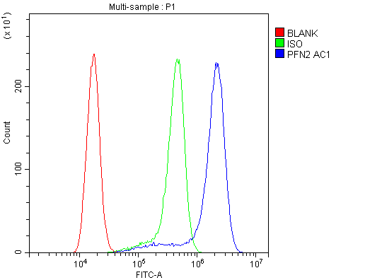 Flow Cytometry analysis of A431 cells using anti-PFN2 antibody (PA2162). Overlay histogram showing A431 cells stained with PA2162 (Blue line).The cells were blocked with 10% normal goat serum. And then incubated with rabbit anti-PFN2 Antibody (PA2162, 1μg/1x106 cells) for 30 min at 20°C. DyLight®488 conjugated goat anti-rabbit IgG (BA1127, 5-10μg/1x106 cells) was used as secondary antibody for 30 minutes at 20°C. Isotype control antibody (Green line) was rabbit IgG (1μg/1x106) used under the same conditions. Unlabelled sample (Red line) was also used as a control.