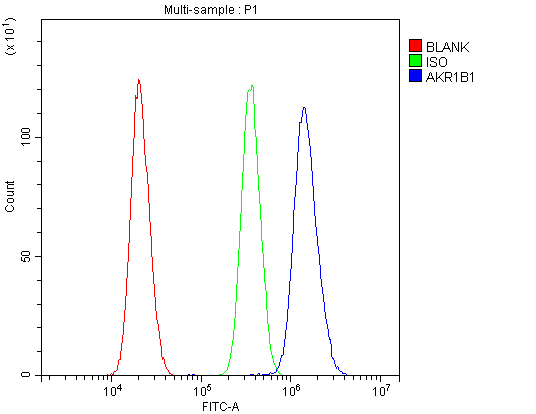 Flow Cytometry analysis of U20S cells using anti-AKR1B1 antibody (PB10035). Overlay histogram showing U20S cells stained with PB10035 (Blue line).The cells were blocked with 10% normal goat serum. And then incubated with rabbit anti-AKR1B1 Antibody (PB10035,1μg/1x106 cells) for 30 min at 20°C. DyLight®488 conjugated goat anti-rabbit IgG (BA1127, 5-10μg/1x106 cells) was used as secondary antibody for 30 minutes at 20°C. Isotype control antibody (Green line) was rabbit IgG (1μg/1x106) used under the same conditions. Unlabelled sample (Red line) was also used as a control.