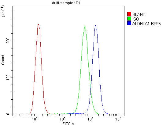 Flow Cytometry analysis of A431 cells using anti-ALDH7A1 antibody (PB10038). Overlay histogram showing A431 cells stained with PB10038 (Blue line).The cells were blocked with 10% normal goat serum. And then incubated with rabbit anti-ALDH7A1 Antibody (PB10038,1μg/1x106 cells) for 30 min at 20°C. DyLight®488 conjugated goat anti-rabbit IgG (BA1127, 5-10μg/1x106 cells) was used as secondary antibody for 30 minutes at 20°C. Isotype control antibody (Green line) was rabbit IgG (1μg/1x106) used under the same conditions. Unlabelled sample (Red line) was also used as a control.