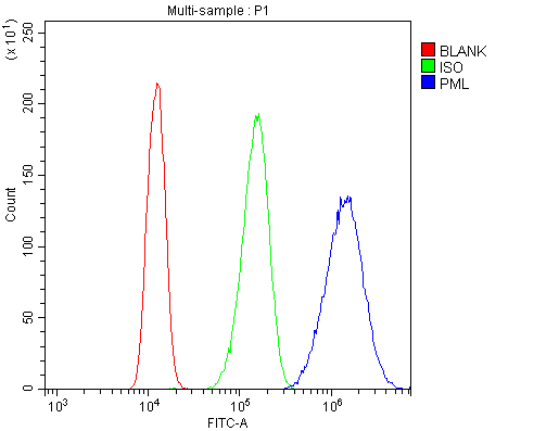 Flow Cytometry analysis of A431 cells using anti-PML antibody (PB10084). Overlay histogram showing A431 cells stained with PB10084 (Blue line).The cells were blocked with 10% normal goat serum. And then incubated with rabbit anti-PML Antibody (PB10084,1μg/1x106 cells) for 30 min at 20°C. DyLight®488 conjugated goat anti-rabbit IgG (BA1127, 5-10μg/1x106 cells) was used as secondary antibody for 30 minutes at 20°C. Isotype control antibody (Green line) was rabbit IgG (1μg/1x106) used under the same conditions. Unlabelled sample (Red line) was also used as a control.